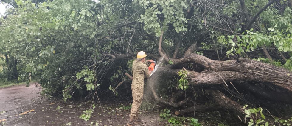 Militares trabajan en la remoción de un árbol que cedió a causa de las lluvias en Usulután