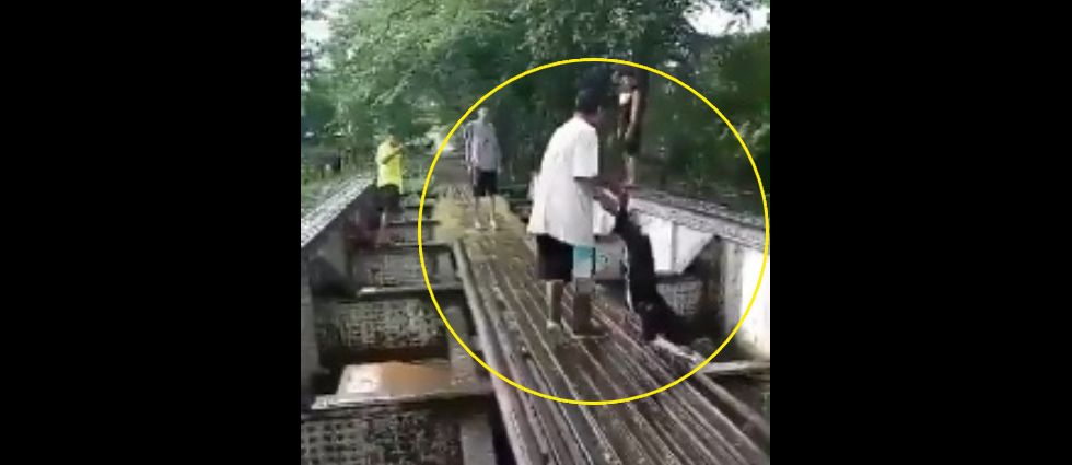 Polipet captura a sujeto que arrojó a perrito a un río crecido en San Miguel