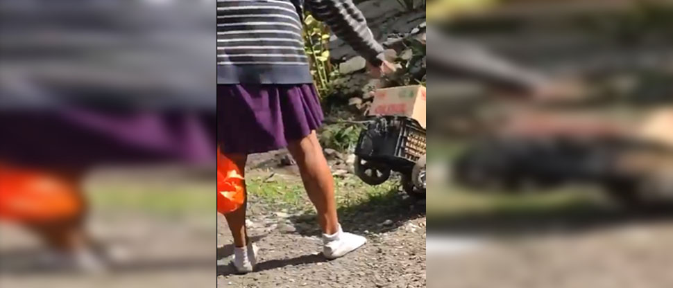 Piden los “Tres doritos después” para mujer que agrede a tres perritos en Santa Ana
