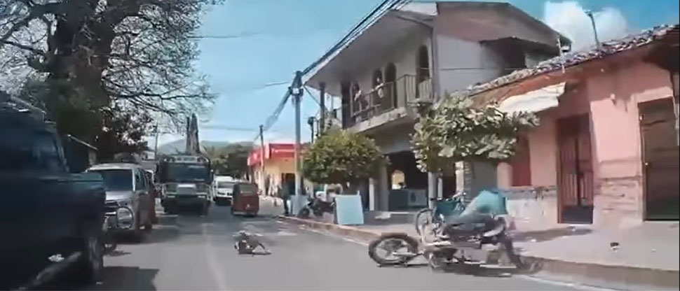 Captan momento exacto cuando perrito se le atraviesa a motociclista y provoca un accidente