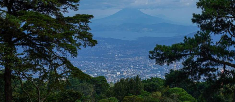 Anuncian reducción de las temperaturas debido a vientos nortes
