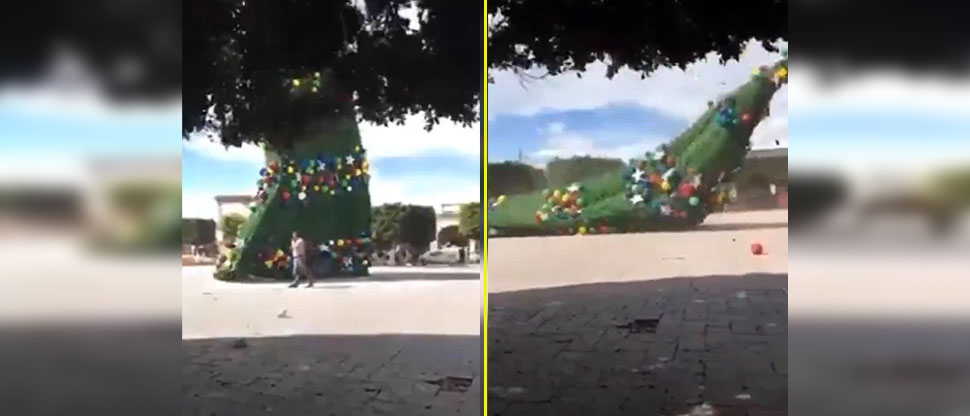 Gigantesco árbol navideño se desploma y casi aplasta a una persona en Guatemala