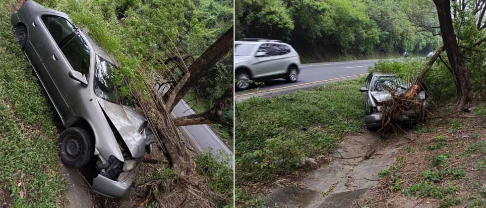 Conductor pierde el control y se estrella contra un árbol en carretera de Oro
