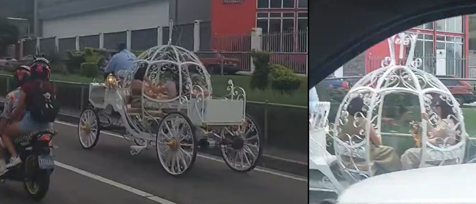 Captan el carruaje de cuento de hadas de la película de Shrek, en San Marcos