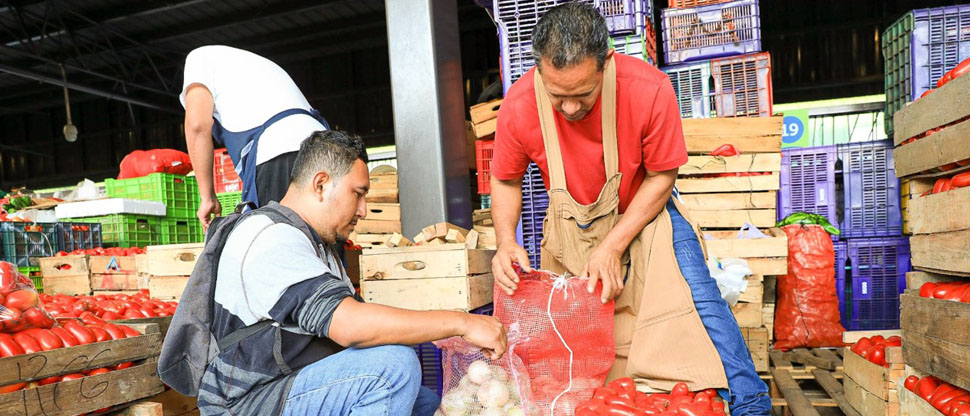 Opositor, reconoce que Central de Abastos y AgroMercados beneficia a los salvadoreños