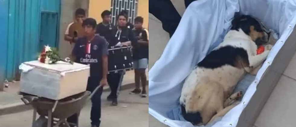 Vecinos organizan funeral para perrito callejero