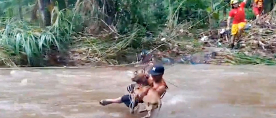 Hombre evacuado por inundaciones en Honduras asegura que su perrito también se salve