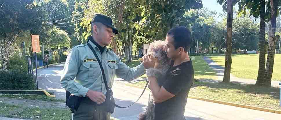 Reúnen a perrito con sus dueños  tras perderse