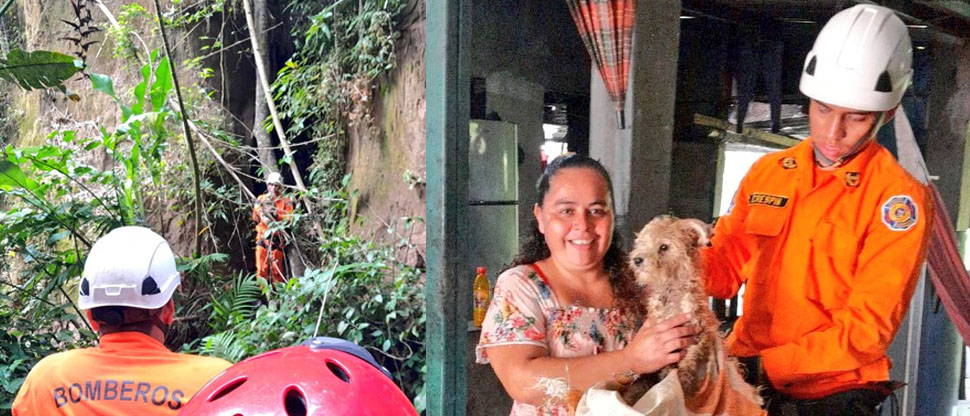 Bomberos rescatan a perrito atrapado en una ladera en Santo Tomás, San Salvador