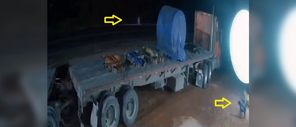 Video muestra a perros que aúllan ante la figura misteriosa de una mujer