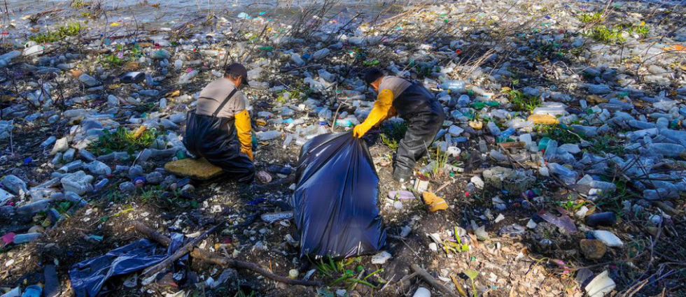 Realizan jornada de limpieza en isla del lago de Suchitlán y retiran cientos de botellas y otros plásticos