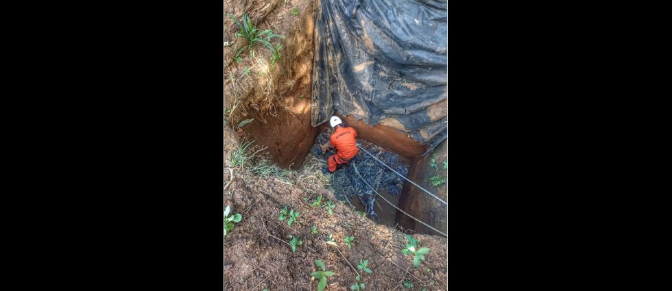 Rescatan a perrito que cayó en un pozo en Sonsonate