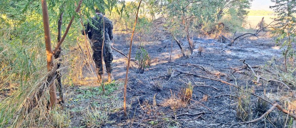 Militares trabajan para sofocar incendio en zona rural de La Unión