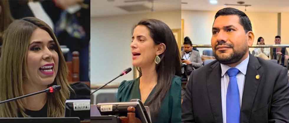 ARENA y VAMOS votaron en contra del escalafón de Salud y Educación