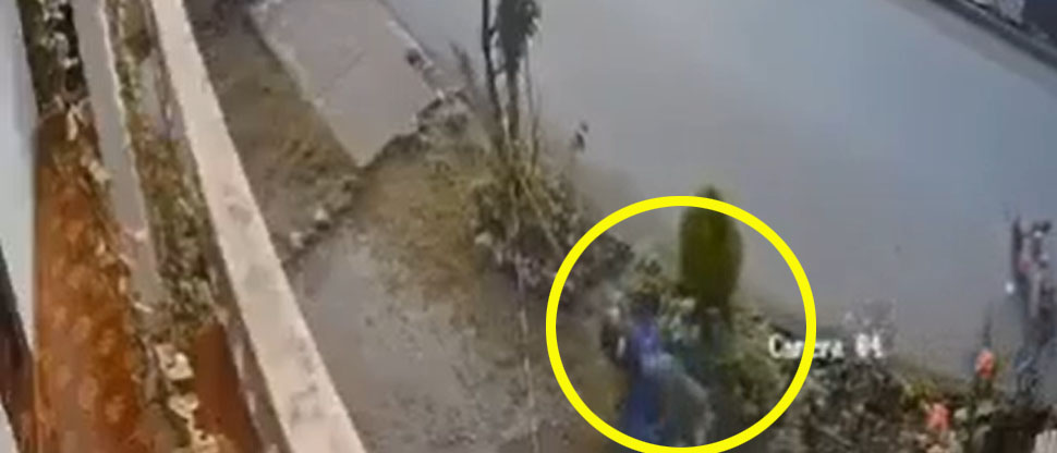 Motociclista a excesiva velocidad sufre accidente y termina mordido por un perro en Guatemala