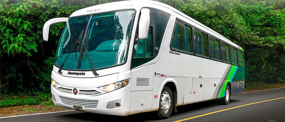 Buses alegres del ISTU ofrecen escapes perfectos para salir de la rutina en estas vacaciones