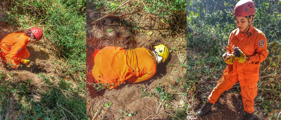 Bomberos rescatan a dos cachorros que estaban atrapados en un agujero