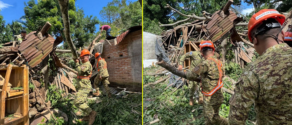 Militares colaboran en retirar árbol que cayó sobre una vivienda en Sonsonate