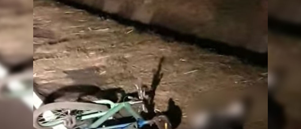 Ciclista pierde la vida al ser arrollado en carretera a San Vicente