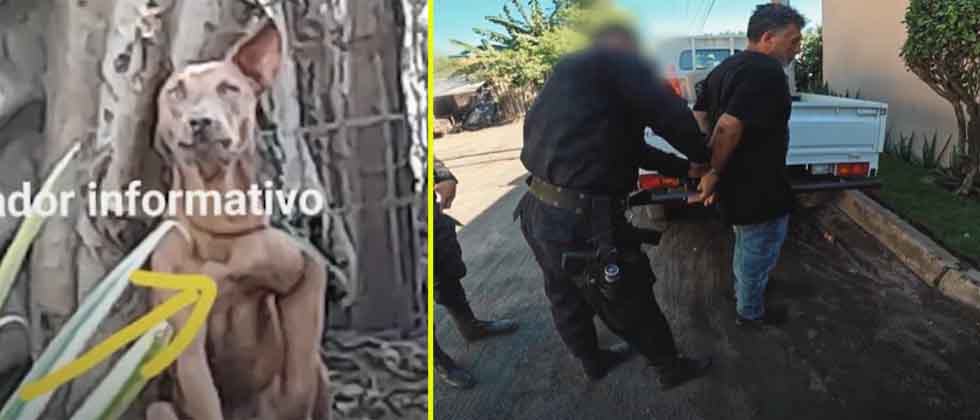 Capturan a sujeto que dejó amarrado a su perrito por tres días en la intemperie en un cantón de Sonsonate