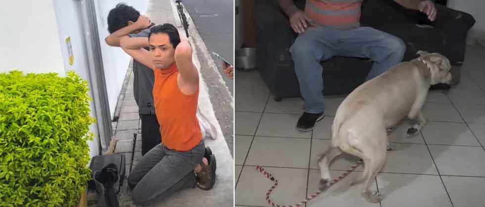 «Miserable»: Capturan a sujeto que alquilaba a su perrita para tener intimidad a cambio de dinero