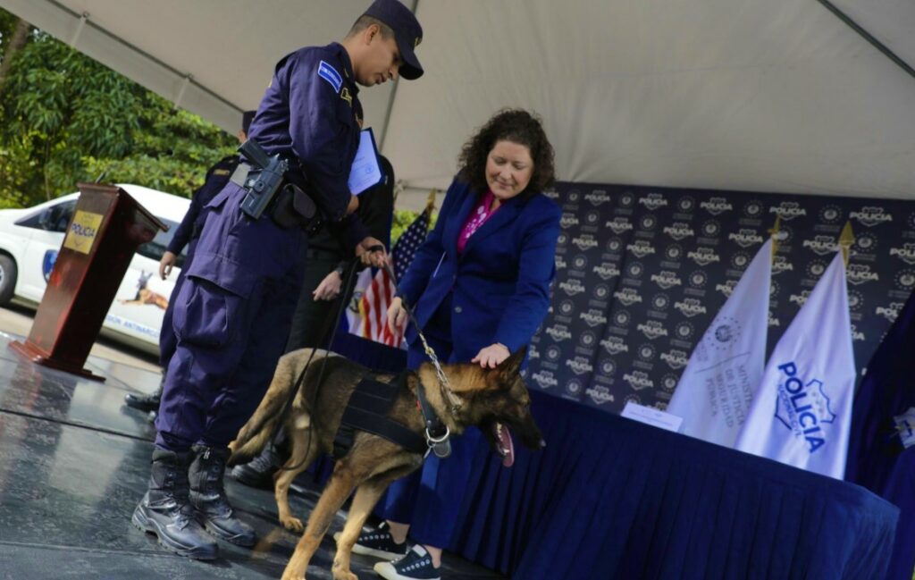 Gradúan nuevo grupo de binomios K9 especialistas en la detección de narcóticos y papel moneda