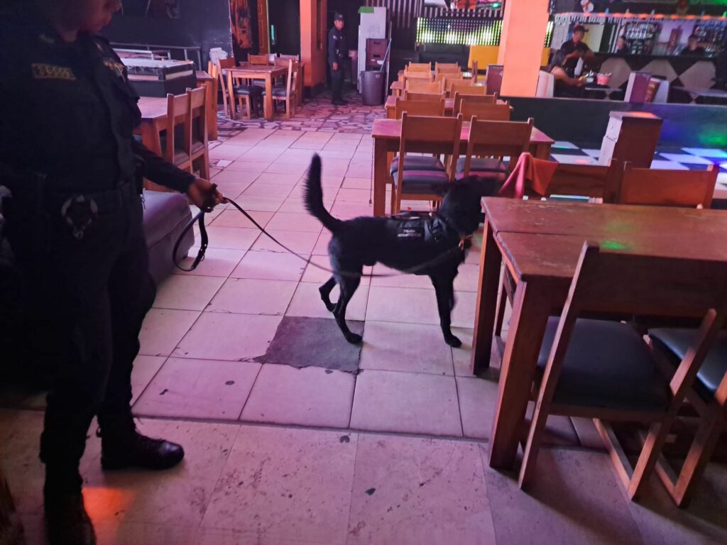 Agentes caninos antinarcóticos ayudan a inspeccionar «donde las niñas» en operativo nacional