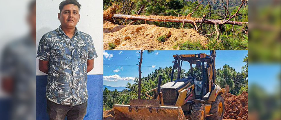 Capturan a hombre que realizaba tala ilegal de árboles de pino en Chalatenango
