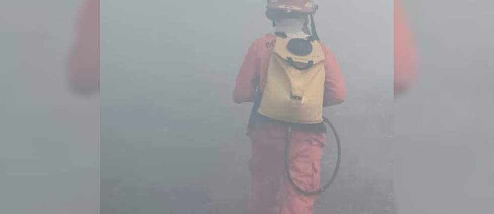 Sofocan incendio en un cañal que amenazaba con expandirse a viviendas