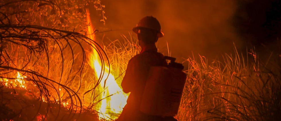 Sofocan incendio sobre un costado de la carretera de Oro