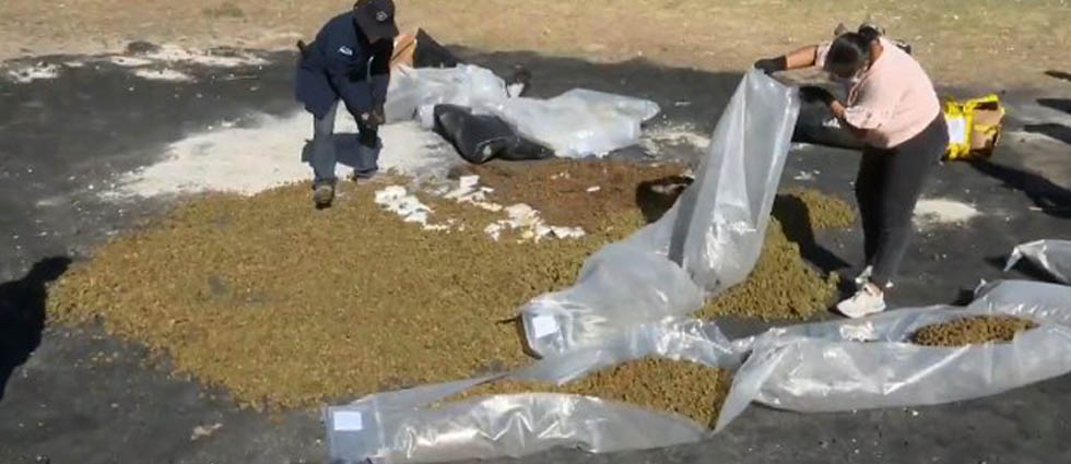 Incineran drogas valoradas en más de $340 mil tras ser decomisadas en 29 casos