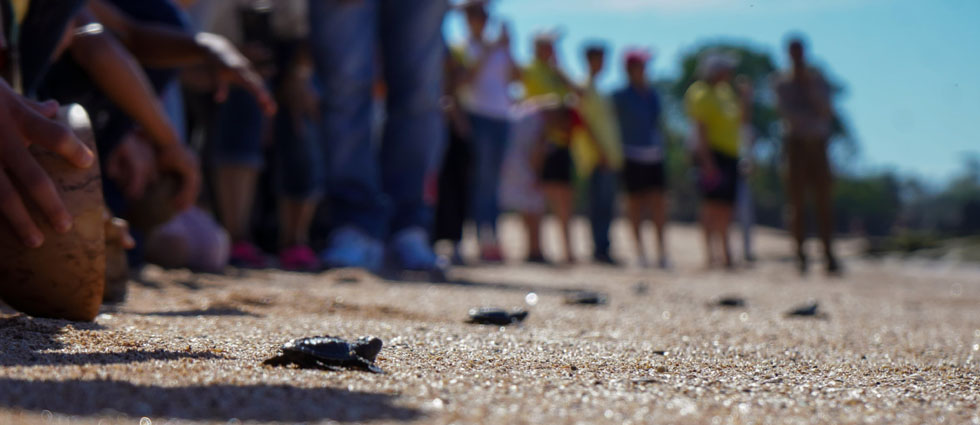 Menores del Hogar San Vicente de Paúl y CISNA participan en la liberación de tortugas golfinas en Los Almendros