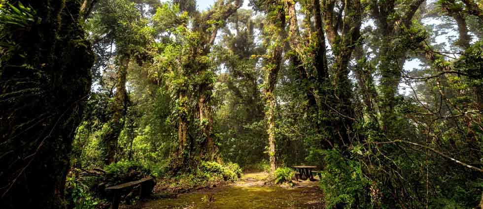 Bocinas y encendedores, dos de los artículos que no puedes llevar al hacer turismo en una ANP