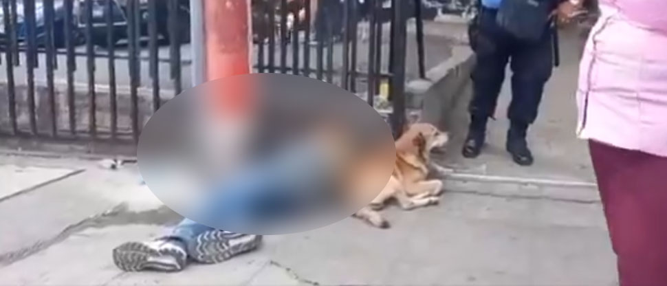 Sandro fallece por intoxicación alcohólica frente a centro comercial de la colonia Zacamil