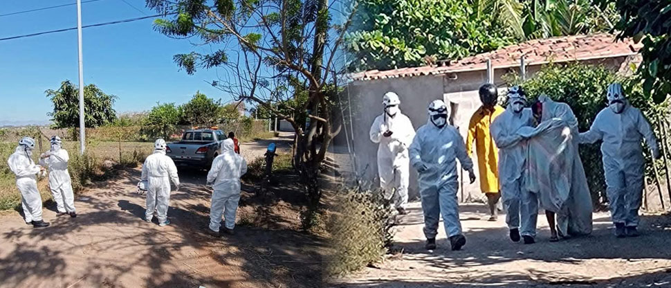 Auxilian a varias personas que fueron atacadas por enjambre de abejas en El Paisnal