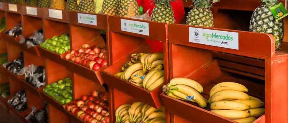 Abren AgroMercado en Apastepeque