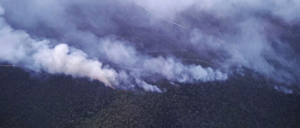 AUSTRALIA: Incendios arrasan con parques naturales