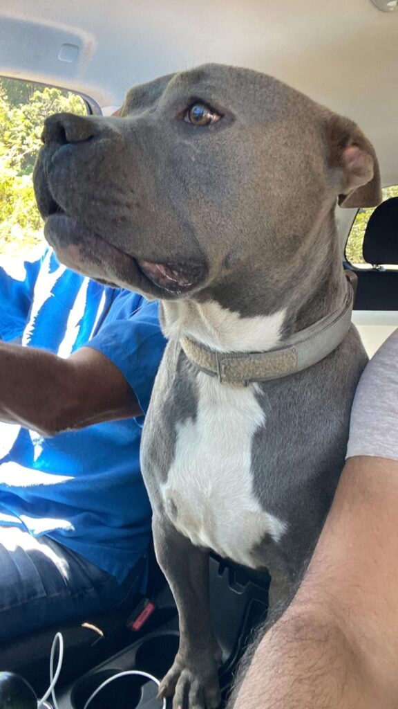 Así fue el emotivo reencuentro de Blue con su familia luego de una intensa búsqueda en Usulután