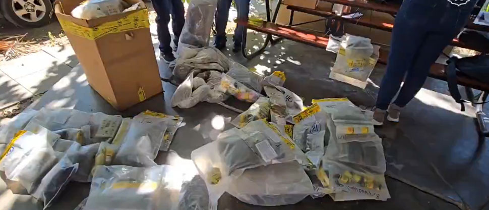 FGR junto a PNC verifican droga que será destruida esta tarde
