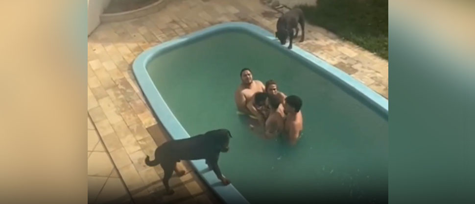 BRASIL: familia se fue de vacaciones y quedó atrapada en una piscina por un insólito motivo