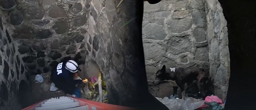 IBA rescata a perrita que cayó una alcantarilla en carretera de Oro