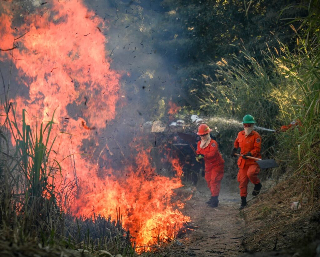 Bomberos sofoca incendio en Cuscatancingo sin registrar heridos