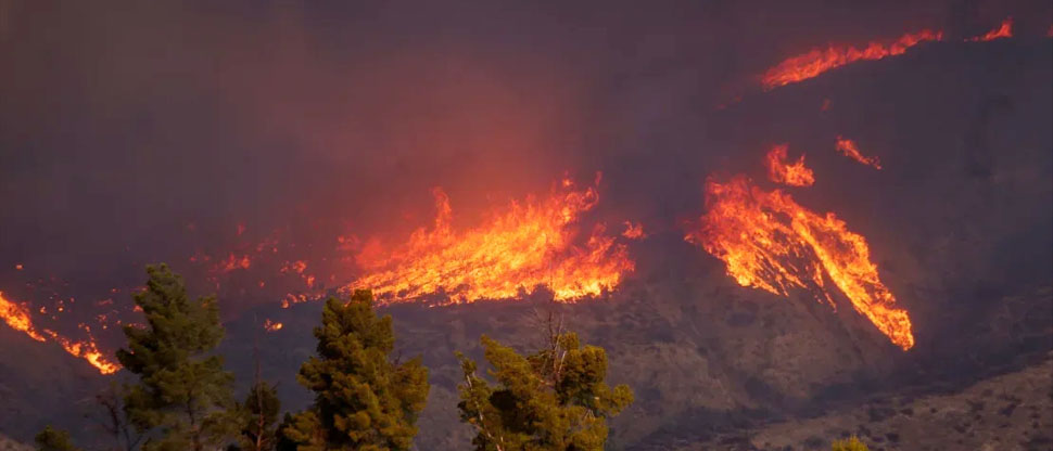 Emiten orden de evacuación por nuevo incendio forestal en Los Ángeles