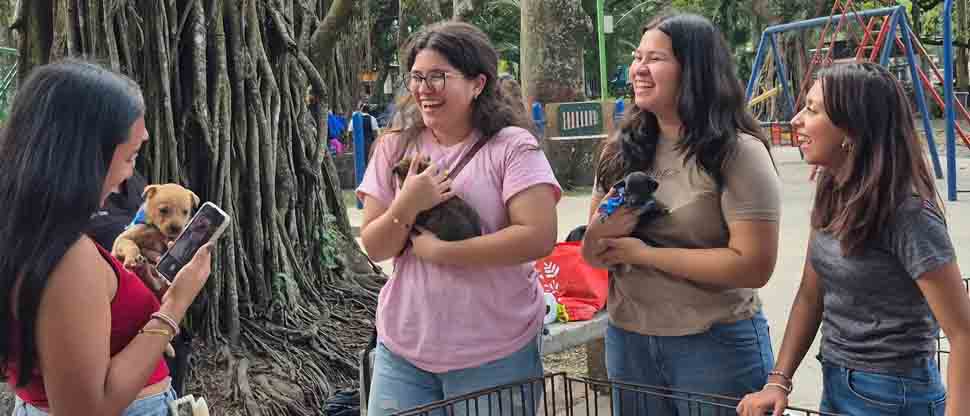 Realizan este viernes jornada de adopción de perritos en el parque Cafetalón