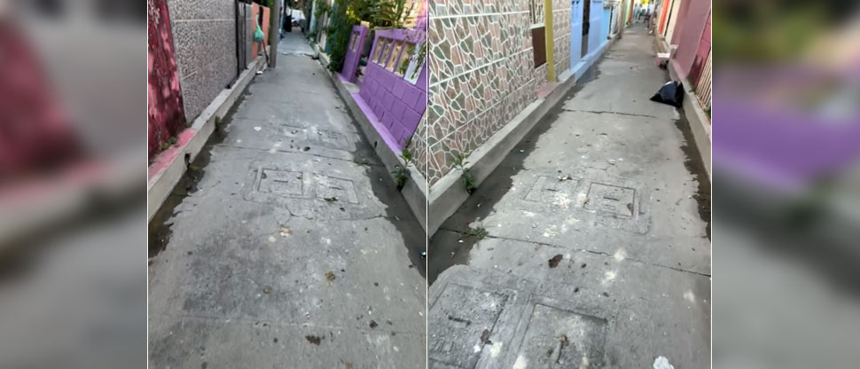 Denuncian mal olor por heces de perros que vecinos no recogen en una colonia de Soyapango