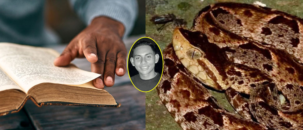 Pastor evangélico fallece al ser mordido por una serpiente venenosa