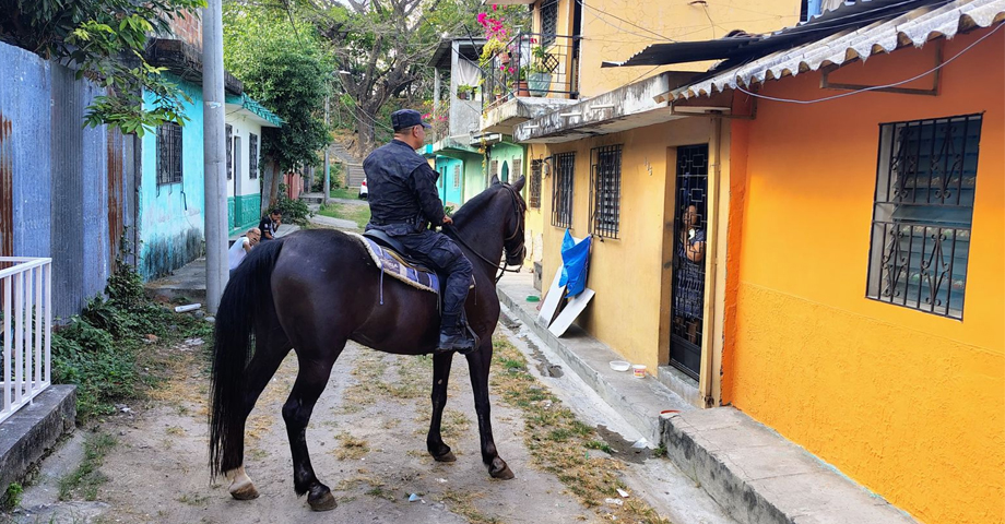 Policía Montada se suma a la guerra contra las pandillas