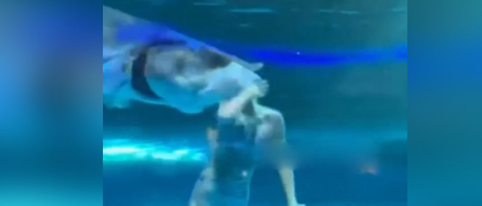 CHINA: Pez gigante muerde a actriz de sirena en acuario