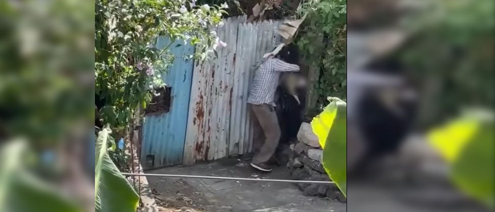 Indignante video muestra el momento cuando hombre agrede a un perrito