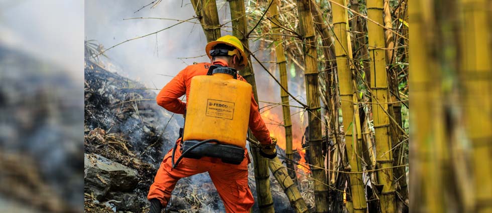 CBES sofocan incendio en terreno con abundante bambú carretera antigua a Zacatecoluca